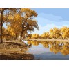 diy painting by numbers naturel landscape artist oil color set for beginners GX7071