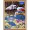art crafts canvas paint by numbers kit for home decor GX7856