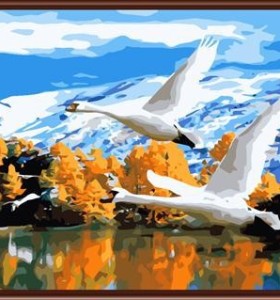 wholesale Paintboy DIY digital oil paintings for beginners on canvas best selling GX6036