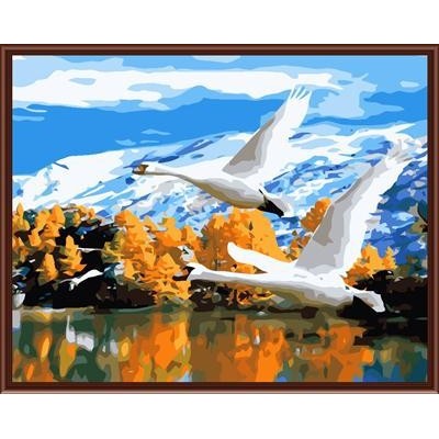 wholesale Paintboy DIY digital oil paintings for beginners on canvas best selling GX6036