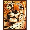 painting art set painting by numbers canvas oil painting tiger design animal picture painting GX6309
