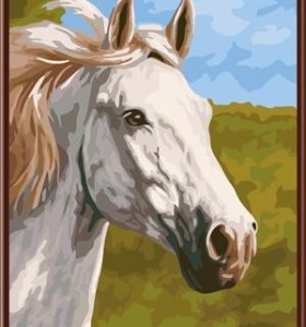 Abstracto pintura del caballo, Pintura al óleo por número caliente de fotos 2015 GX6345