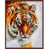 canvas painting by numbers animal tiger picture oil painting 2015 new hot photo GX6387