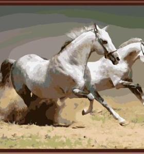 GX6507 running horse paint by number on canvas