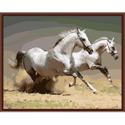 GX6507 running horse paint by number on canvas
