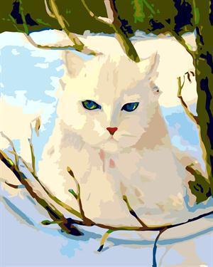 cat oil canvas painting by numbers GX6650 animal picture painting paint boy EN71-123,CE