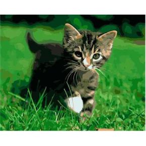 Ölgemälde kit malerei für Anfänger gesetzt gx6589 yiwu fabrik neue katze bildgestaltung