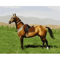 abstract oil paint by number GX6704 running horse picture 2015 new design