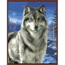 diy painting by numbers animal wolf picture artist oil color set for beginners GX6528