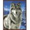 diy painting by numbers animal wolf picture artist oil color set for beginners GX6528
