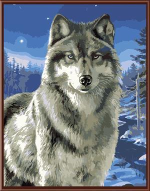diy painting by numbers animal wolf picture artist oil color set for beginners GX6528