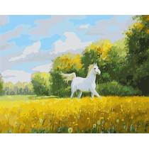 running horse oil canvas painting by numbers GX6649 paint boy EN71-123,CE