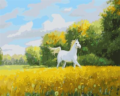 running horse oil canvas painting by numbers GX6649 paint boy EN71-123,CE
