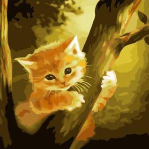 cat design canvs oil paint by number GX6684 yiwu art suppliers