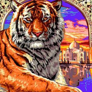 animal design tiger picture abstract oil paint by number GX6690 yiwu art suppliers