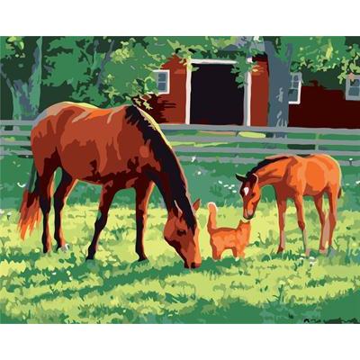 handmaded acrylic painting on canvas GX6792 horse design painti by number