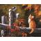 handmaded acrylic painting on canvas GX6795 cat and bird design paint by number