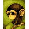 2015 new naturel abstract oil canvas painting by numbers with animal monkey picture design GX6729