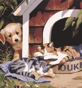 Handmaded pintura de acrílico en la lona GX6791 perro y el gato diseño painti by número