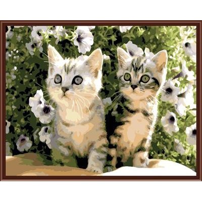 modern oil painting by numbers on canvae cat picture animal design GX6858