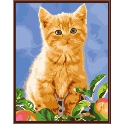 moderne Ölgemälde nach zahlen auf canvae katze bild gx6861