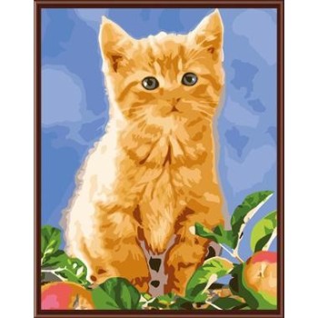 modern oil painting by numbers on canvae cat picture GX6861