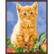 modern oil painting by numbers on canvae cat picture GX6861