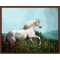 oil painting by numbers yiwu paint boy brand factory new design horse picture GX6846