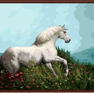 oil painting by numbers yiwu paint boy brand factory new design horse picture GX6846