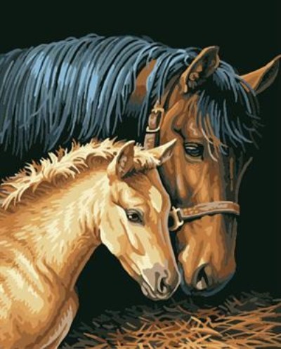 oil painting by numbers horse picture GX6931 painting on canvas