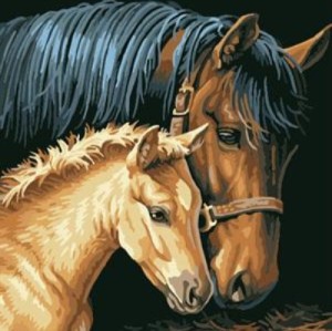 oil painting by numbers horse picture GX6931 painting on canvas