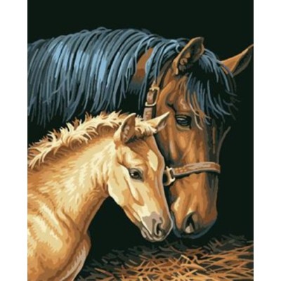 Pintura al óleo by números imagen del caballo GX6931 pintura en la lona