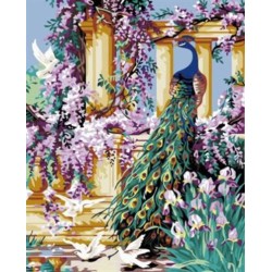 Pintura al óleo by números del pavo real de imágenes GX6933 pintura en la lona