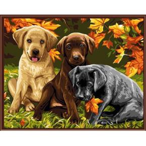 färbung von Zahlen kit handmaded malerei auf leinwand tier hund Bild gx6530