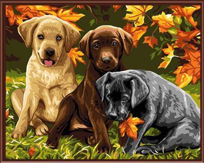 diy canvas oil paint by numbers kit with animal dog picture GX6530