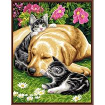 diy painting by numbers on canvas factory new design GX6538 animal dog and cat photo design