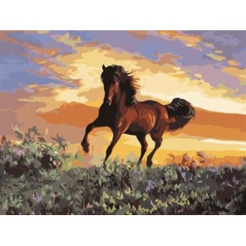 abstract canvas oil painting by numbers with running horse picture yiwu wholesales GX6943