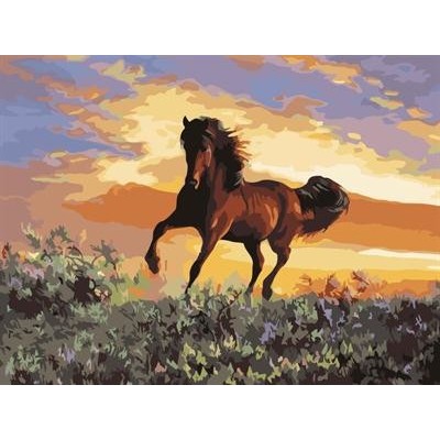 Pintura al óleo abstracta by números con running horse imagen yiwu ventas al por mayor GX6943