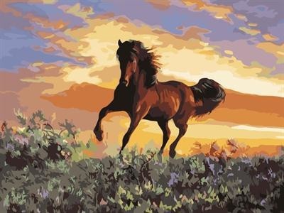 abstract canvas oil painting by numbers with running horse picture yiwu wholesales GX6943