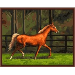 Pintura al óleo by números yiwu pintura marca chico nuevo diseño de la fábrica imagen del caballo GX6845