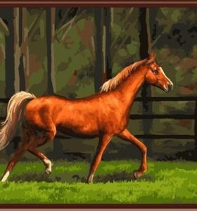 Pintura al óleo by números yiwu pintura marca chico nuevo diseño de la fábrica imagen del caballo GX6845
