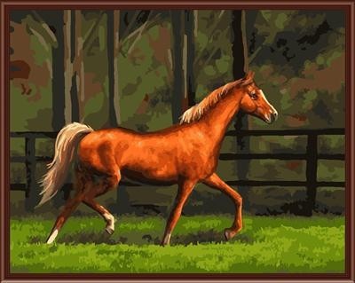 oil painting by numbers yiwu paint boy brand factory new design horse picture GX6845