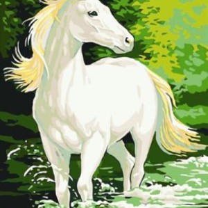 GX6927oil painting by numbers with white running horse picture