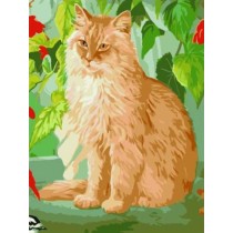 abstract canvas oil painting by numbers with cat picture yiwu wholesales GX6945 paint boy brand