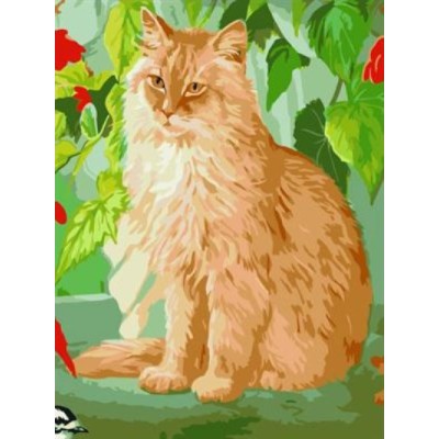 abstract canvas oil painting by numbers with cat picture yiwu wholesales GX6945 paint boy brand