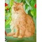 abstract canvas oil painting by numbers with cat picture yiwu wholesales GX6945 paint boy brand