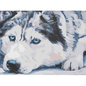 abstrakte leinwand Ölgemälde von Zahlen mit tier wolf bild yiwu großhandel gx6942