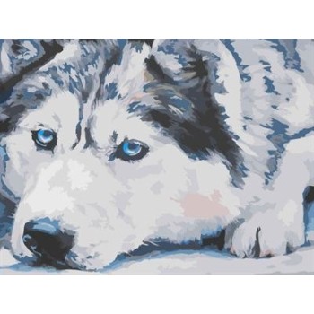 abstract canvas oil painting by numbers with animal wolf picture yiwu wholesales GX6942