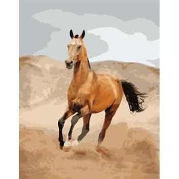 abstract oil paint by number GX6701 running horse picture 2015 new design