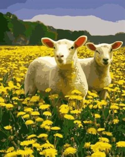 oil painting by numbers sheep and flower picture acrylic handmaded painting on canvas GX6985 paintboy brand